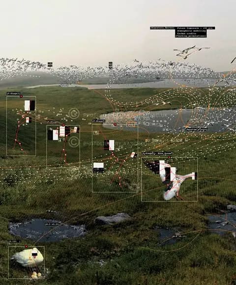 Image d11